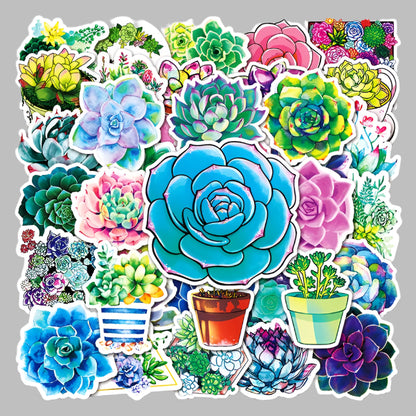 Succulent Stickers