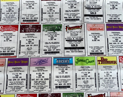 Disney Fast Pass Fabric