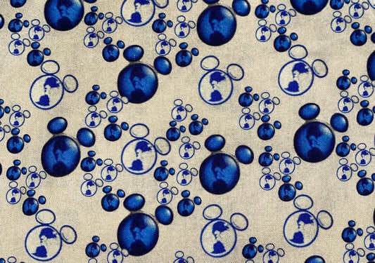 Disney DVC Fabric
